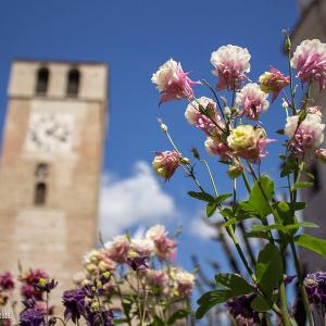 THE FLOWERS OF CASTELLARO LAGUSELLO - FROM 28 APRIL TO 1 MAY 2018